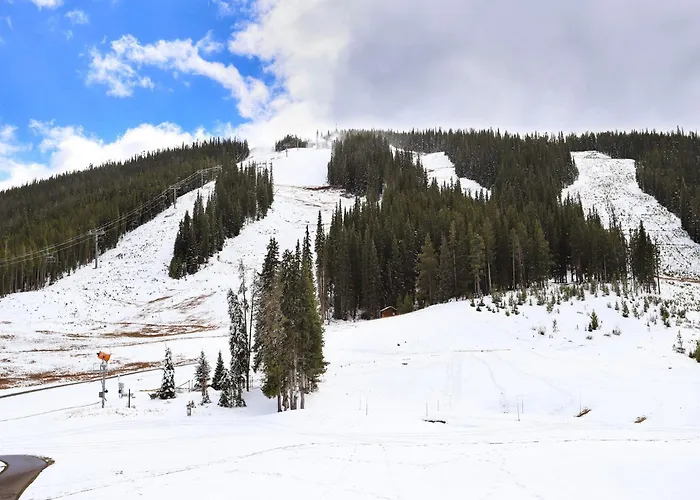Fp310 Foxpine - Pet Friendly Apartment Copper Mountain